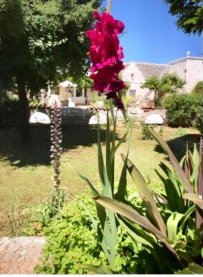Maison Santarosa Daire Castellana Grotte Dış mekan fotoğraf